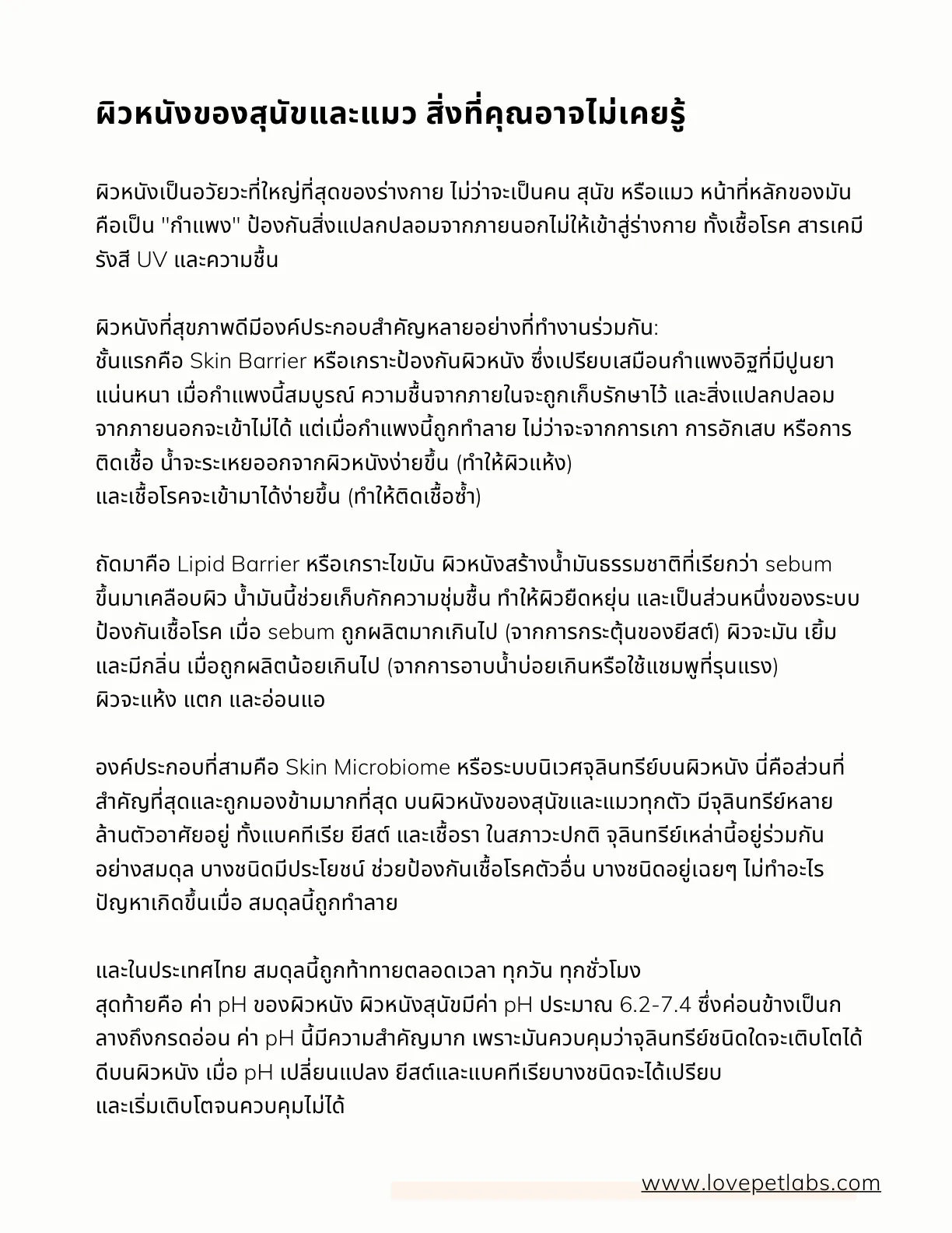หน้า 6