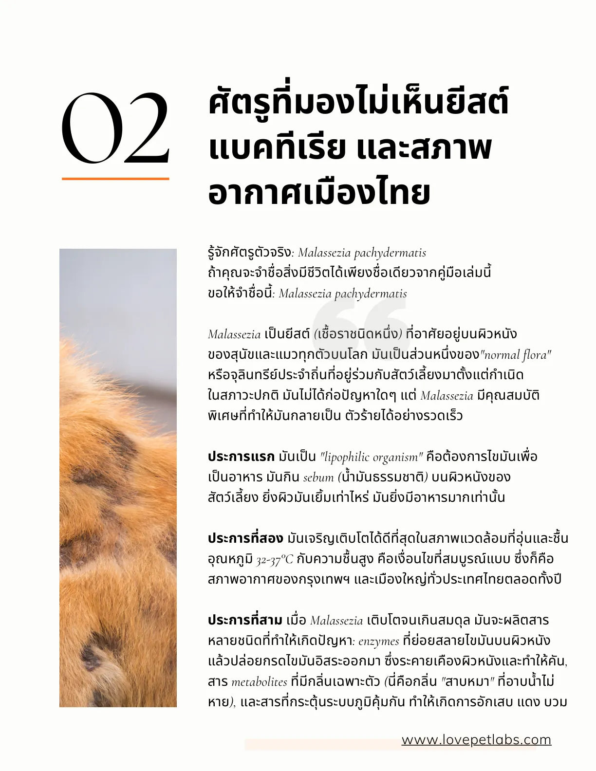 หน้า 8