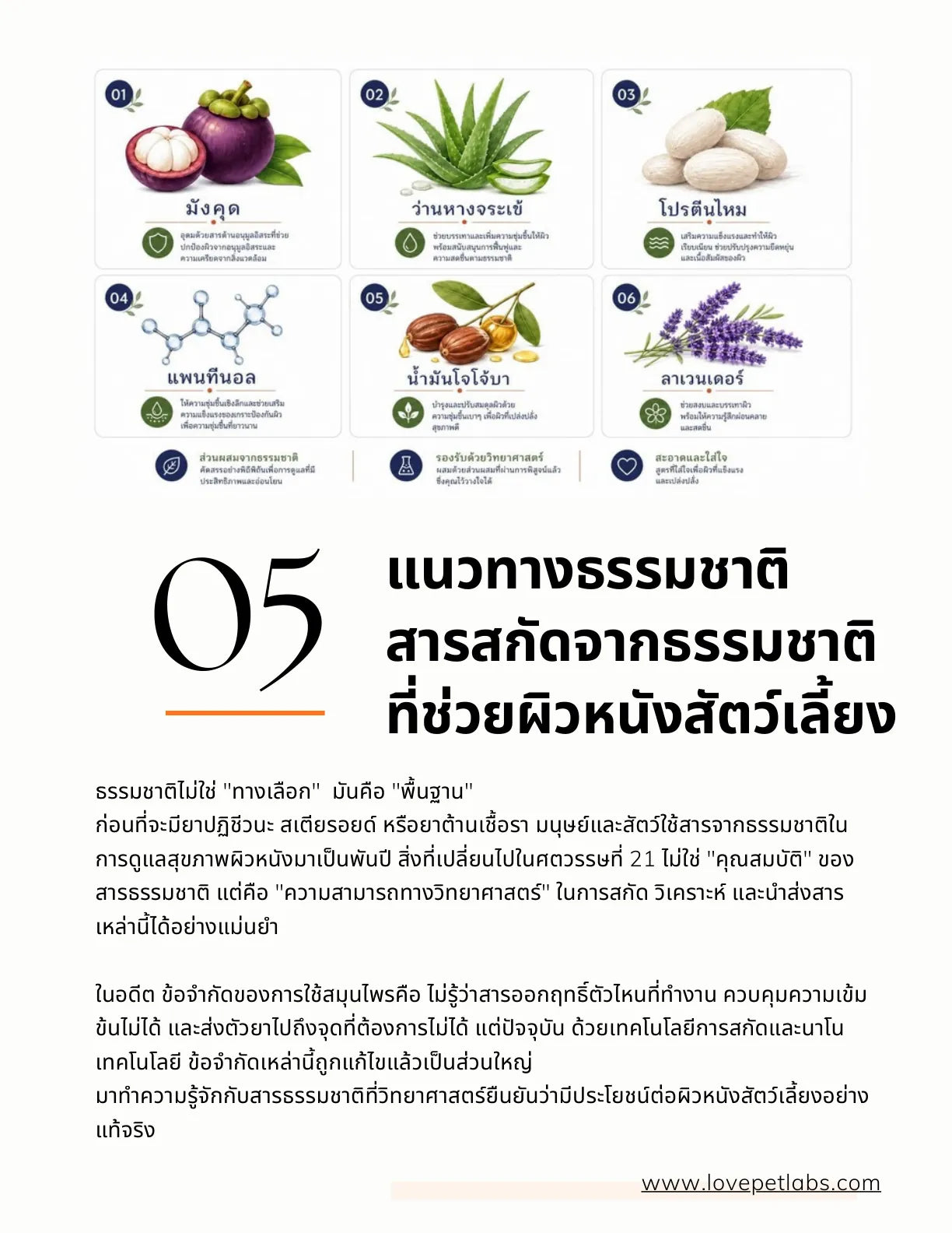 หน้า 18
