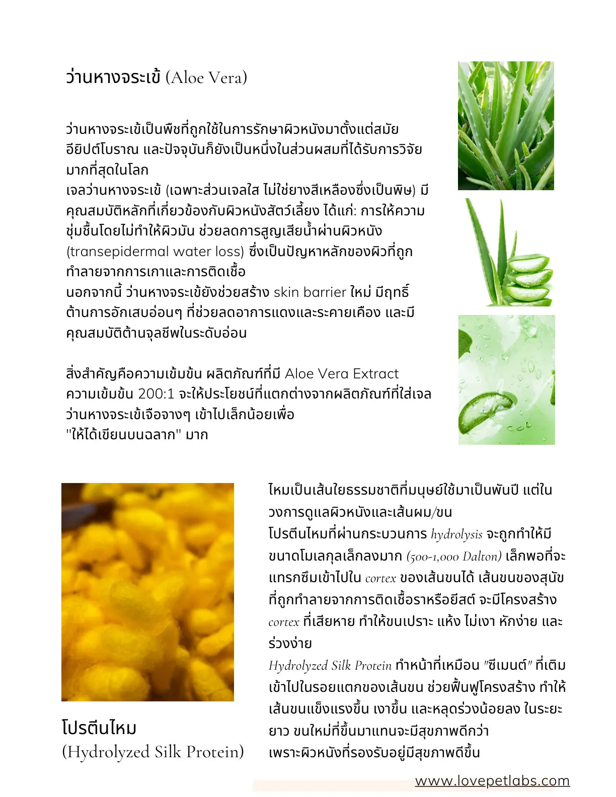 หน้า 20