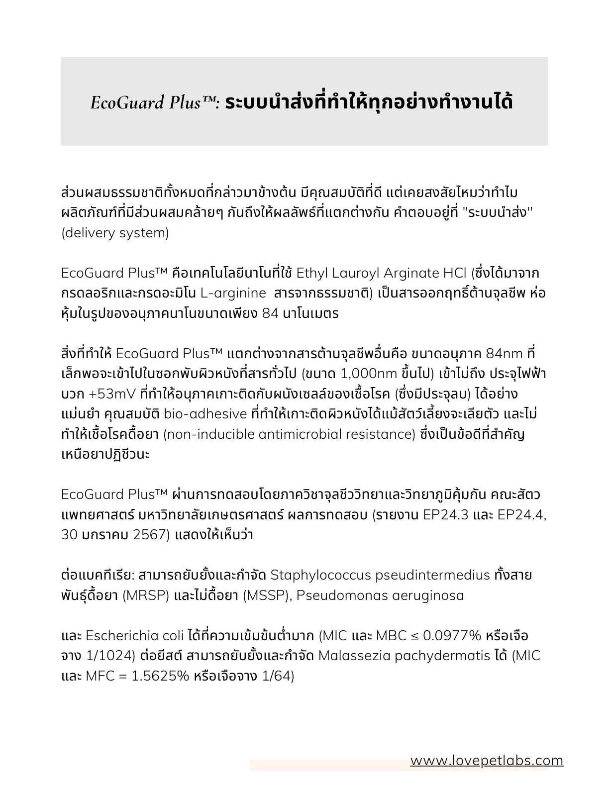 หน้า 22