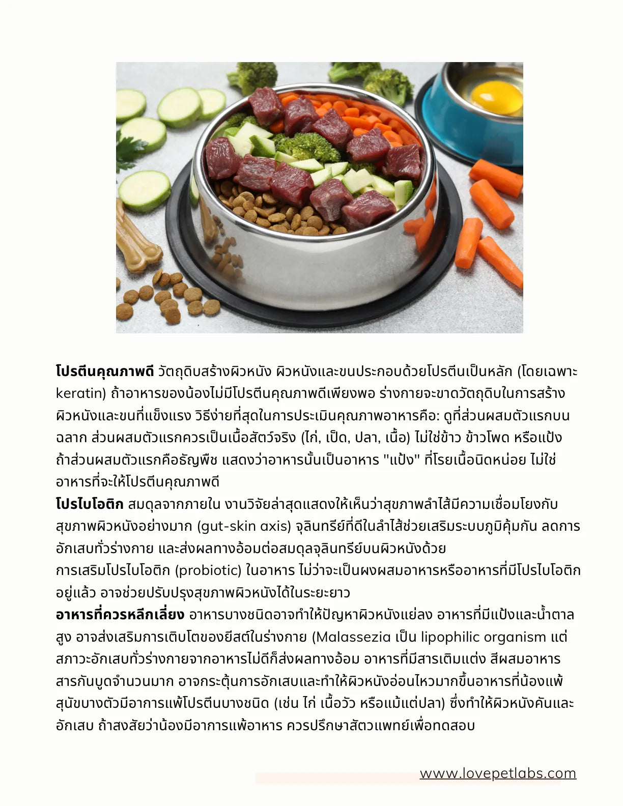 หน้า 25