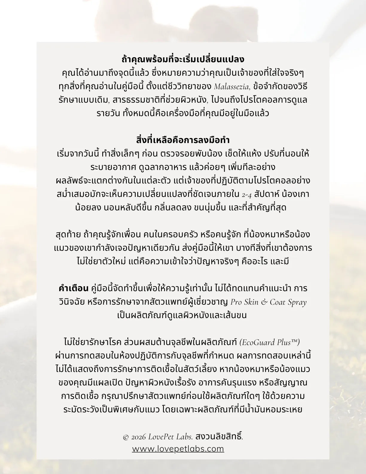 หน้า 33
