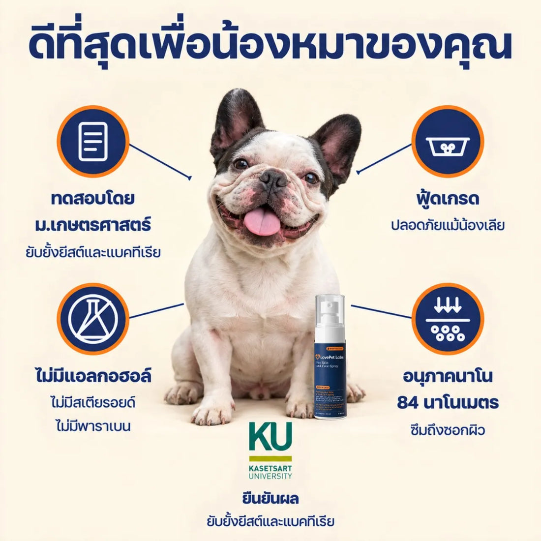 ปลอกคอกันเลีย จำเป็นไหม? ทางเลือกที่น้องสบายกว่า