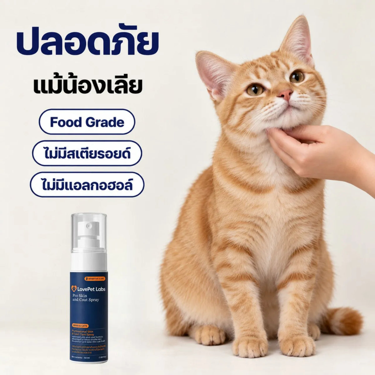 ปลอดภัยแม้น้องแมวเลีย
