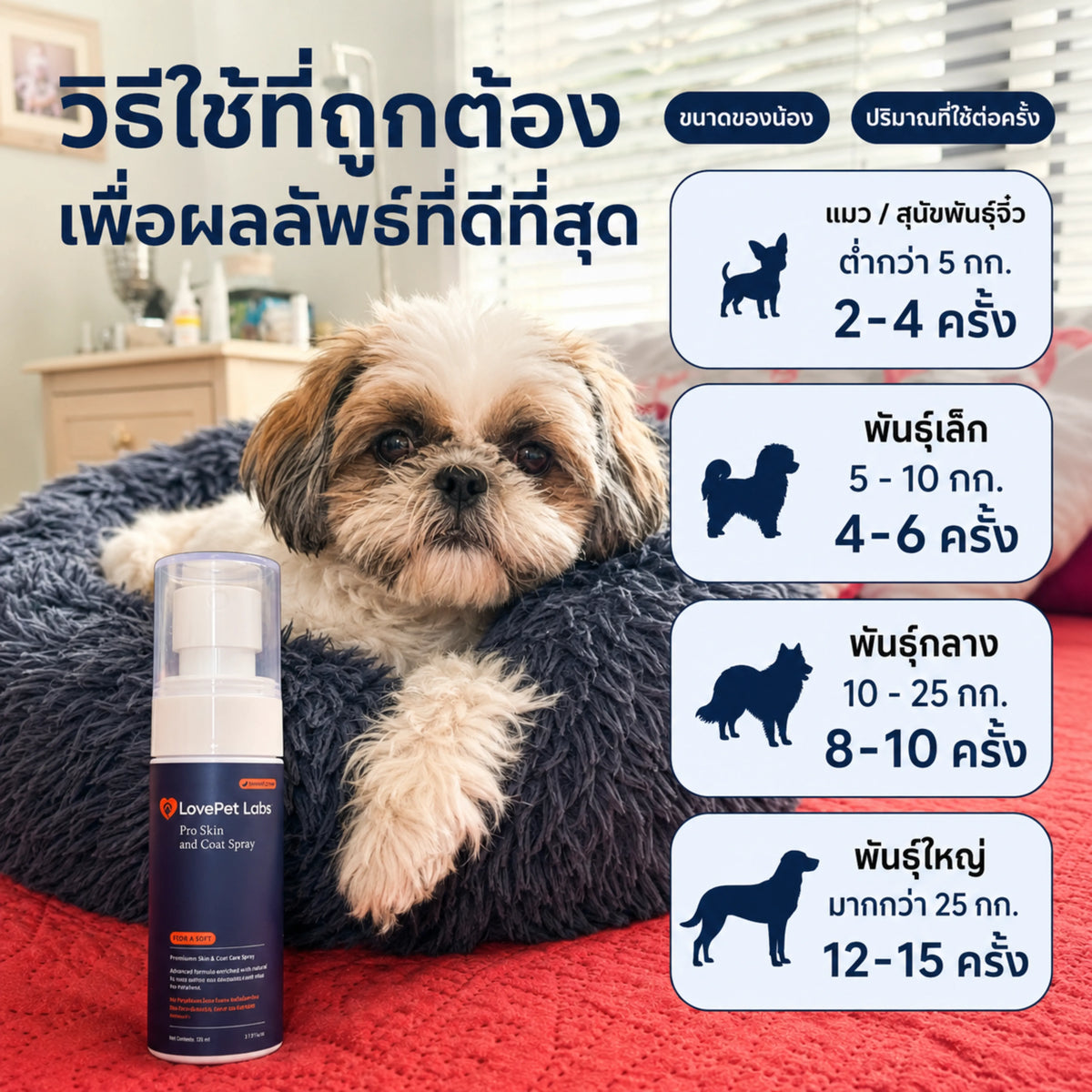 วิธีใช้ที่ถูกต้อง เพื่อผลลัพธ์ที่ดีที่สุด
