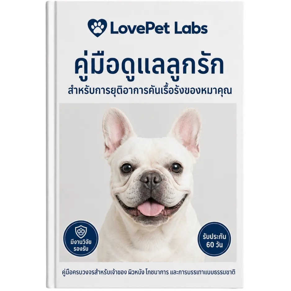[ฟรี] คู่มือยุติอาการคันเรื้อรัง