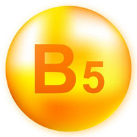 วิตามิน บี5