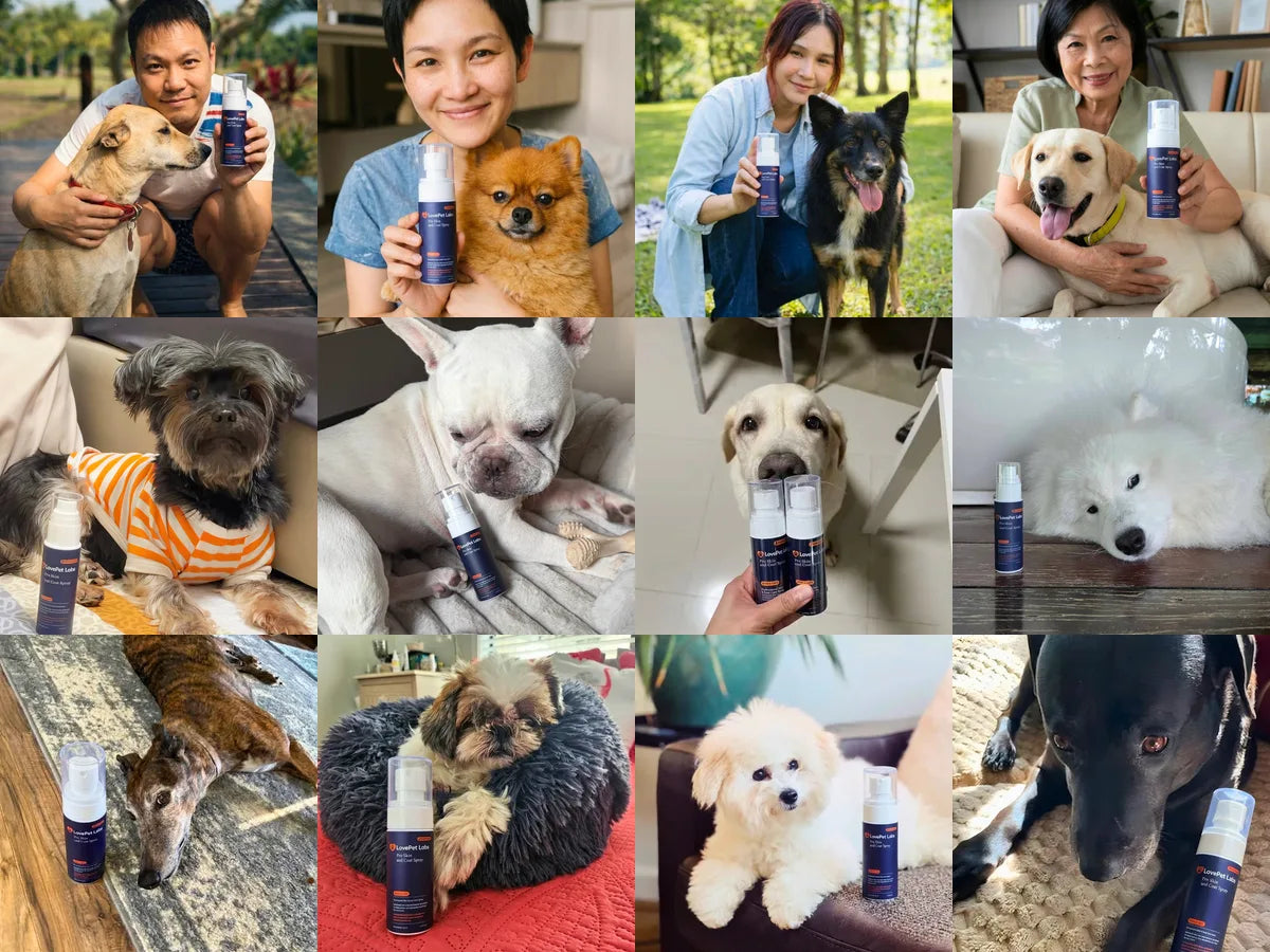 ลูกค้า LovePet Labs กับน้องหมา