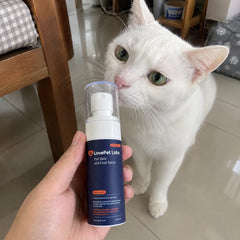 LovePet Labs — น้องแมว