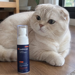 LovePet Labs — น้องแมว