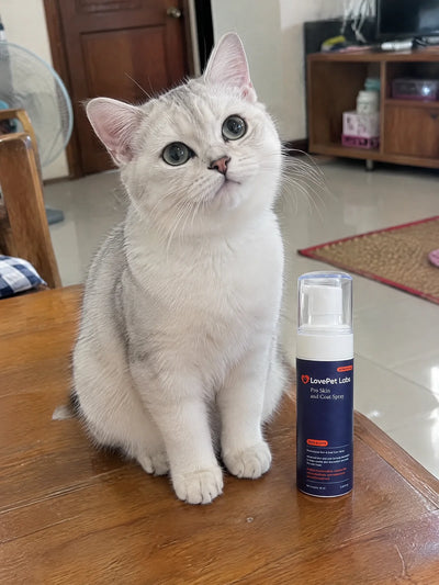 ชลธิชา
