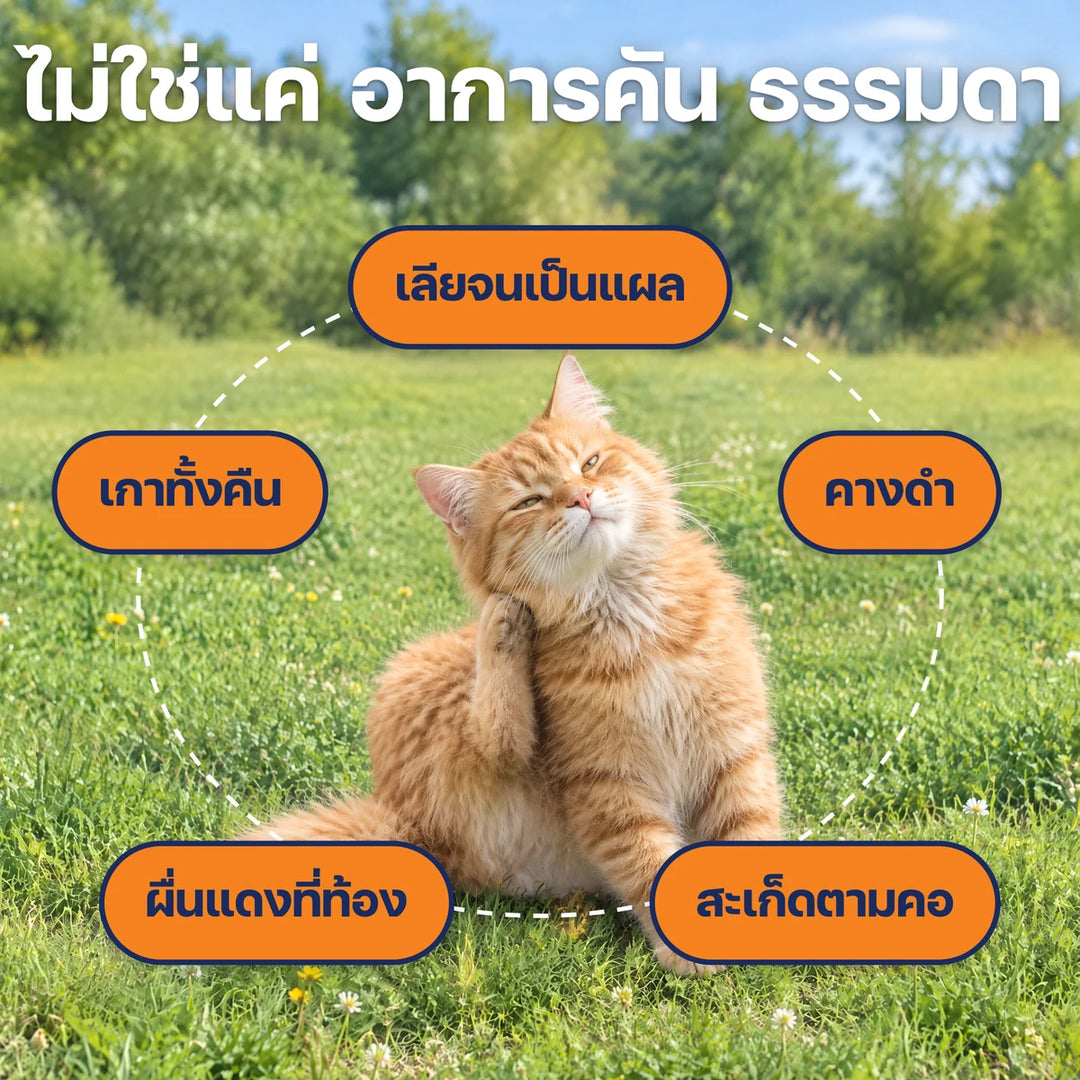 ไม่ใช่แค่อาการคันธรรมดา