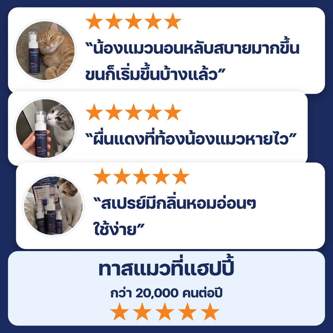 รีวิวจากทาสแมว