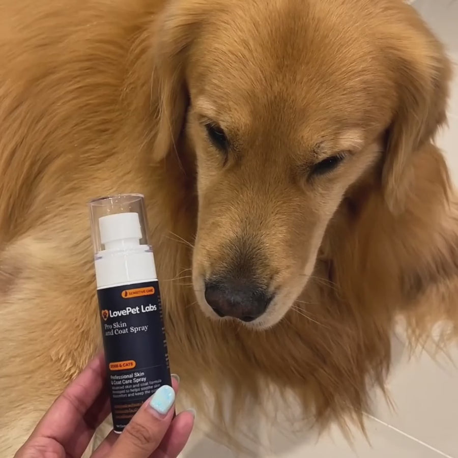 Pro Skin & Coat Spray — boucle section 1